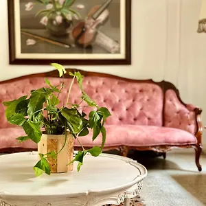  Hotel Boutique Fiorentina